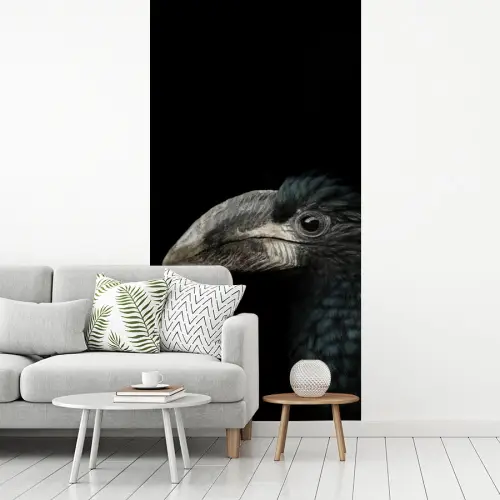 Vogel - Portret - Neushoornvogel - Zwart - Dieren fotobehang vinyl groot -woonkamer