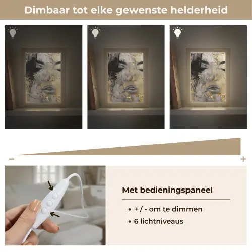Vrouw - Kunst - Goud - Zwart Light Box met kabel (Tafellamp) klein -USP_dimbaarNL