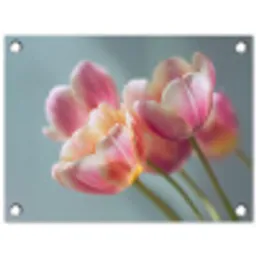 Tulpen - Roze - Stelen tuinposter los doek klein -3d