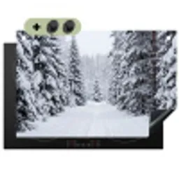 Bos - Winter - Sneeuw - Pad - Natuur Inductie beschemer met haakjes klein -3d