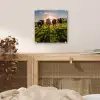 Koeien - Zon - Gras - Dieren - Boerderij plexiglas 5mm klein -sfeer4