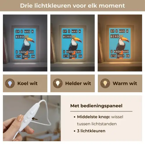 Vogel - Toekan - Blauw - Quotes Light Box met kabel (Wandlamp) klein -USP_lichtkleurNL