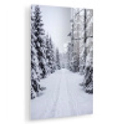 Bos - Winter - Sneeuw - Pad - Natuur plexiglas 5mm klein -zzzproduct_nieuw