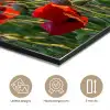 Bloemen - Klaprozen - Natuur - Rood aluminium wit klein -closeup_NL