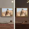 Valk - Vogel - Rots - Macht Light Box met batterij (Wandlamp) middel -sfeer3