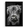 Schotse Hooglander - Horens - Zwart - Wit - Koe - Wild - Dieren fotolijst zwart zonder passe partout klein -3d