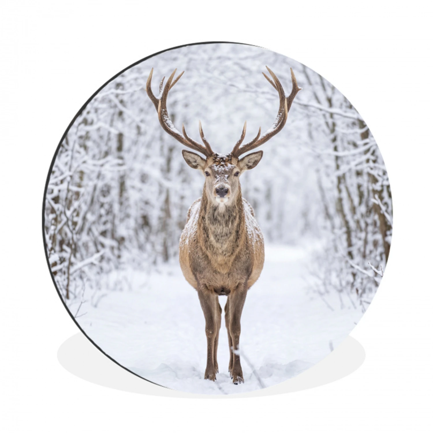 Hert - Winter - Bos - Natuur - Wit Wandcirkel aluminium klein -3d