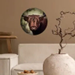 Schotse hooglander - Licht - Portret - Natuur Wandcirkel behangsticker klein -sfeer1