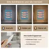 Vissen - Rood - Blauw Light Box met kabel (Tafellamp) klein -USP_lichtkleurNL