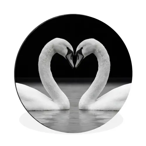 Zwanen - Hart - Zwart - Wit Wandcirkel aluminium klein -3d