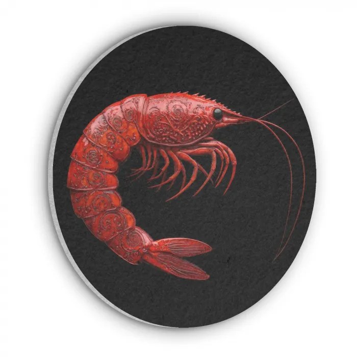 Garnaal - Rood - Dieren Akoestische PET Vilt - Rond klein -3d