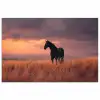 Paard - Wolken - Open veld poster papier klein -3d