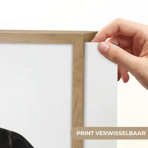 Zwart - Paard - Portret Light Box met batterij (Wandlamp) middel -USP_websiteprintNL