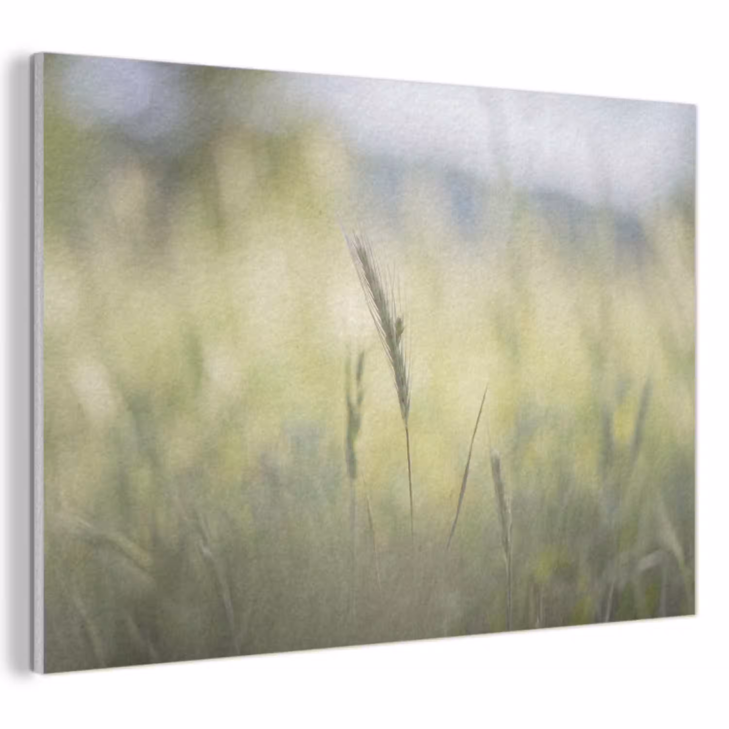 Graan - Aar - Natuur - Groen - Detail PET vilt klein -3d