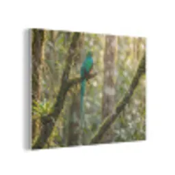 Quetzal - Jungle - Natuur - Groen PET vilt klein -3d