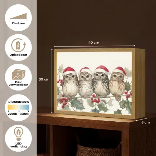 Uilen - Tak - Hulstblaadjes - Kerstmuts Light Box met batterij (Wandlamp) middel -USP_websiteoverzichtNL