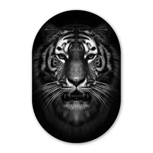 Tijger - Dieren - Zwart - Wit - Portret - Wild Wandcirkel Ovaal Forex klein -3d