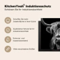 Nachtvisioen Inductie beschermer vinyl 3mm middel -tsfeer2_DE