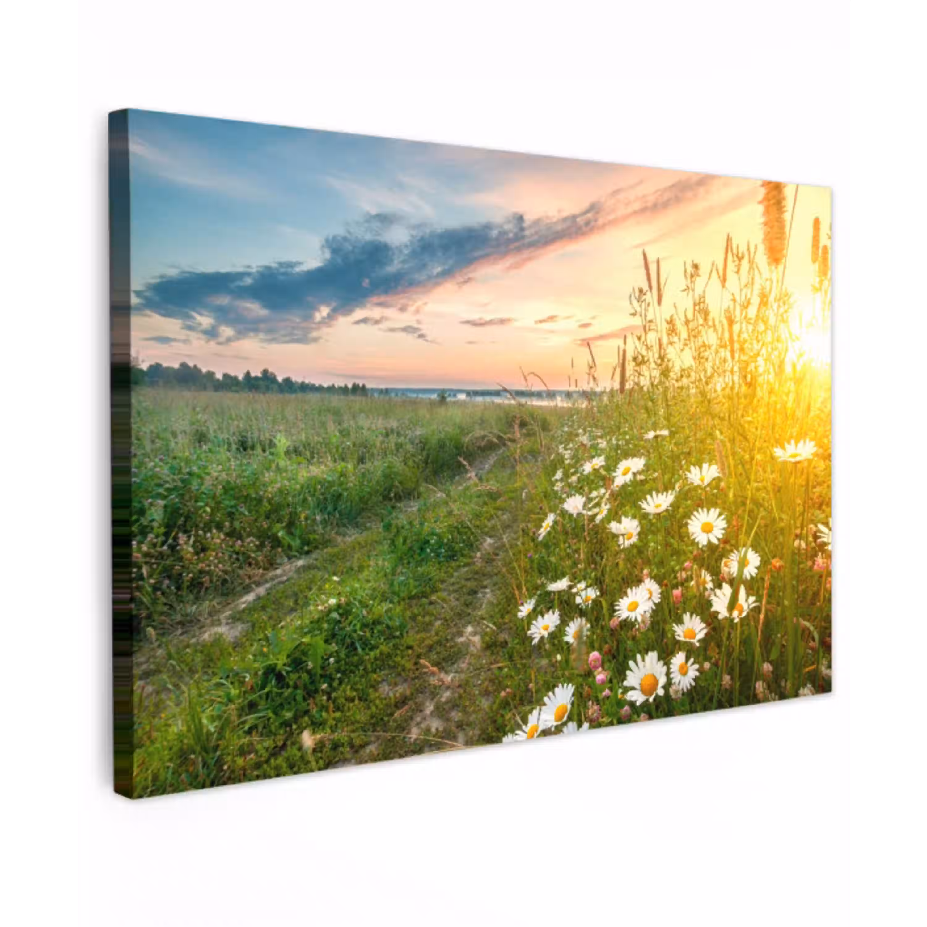 Wilde bloemen in de ochtendzon Tuinposter op houten frame 2 cm dik klein -3d