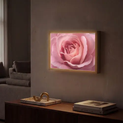 Roze - Roos - Romantisch Light Box met batterij (Wandlamp) middel -sfeer1