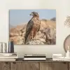 Valk - Vogel - Rots - Macht PET vilt klein -sfeer1