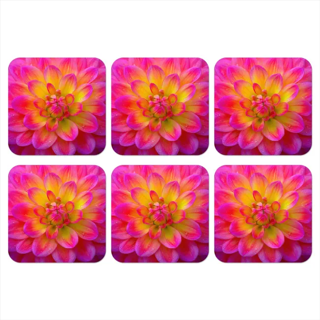 Coaster - Pink - Dahlia - Colorful