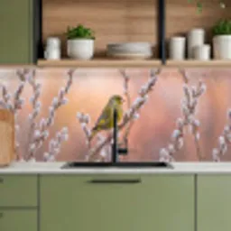 Groenling - Katjes - Lente - Natuur - Zacht keuken achterwand 2 middel -sfeer3