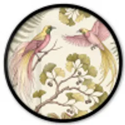 Vogels - Tropisch - Botanisch - Roze Fotolijst rond zonder passe partout klein -3d
