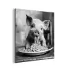 Varken - Schattig - Spaghetti - Zwart wit - Dier aluminium wit klein -3d