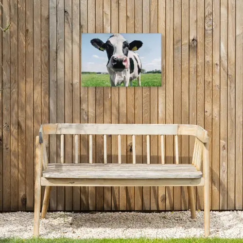 Koe - Weiland - Natuur - Dieren - Gras Tuinposter op houten frame 2 cm dik klein -sfeer4