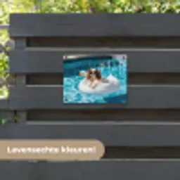 Spaniel - Zonnebril - Zwemband - Zwemband tuinposter los doek klein -sfeer3