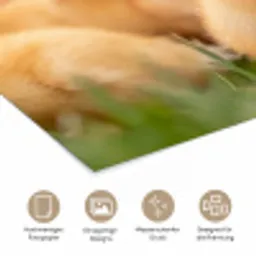 Pijltje - Eend - Natuur - Geel poster papier klein -tcloseup_DE
