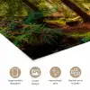 Bos - Pad - Bomen - Groen - Zon - Natuur poster papier klein -closeup_NL