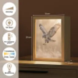 Buizerd - Roofvogel - Natuur - Bruin Light Box met kabel (Kinderlampje) klein -USP_DE