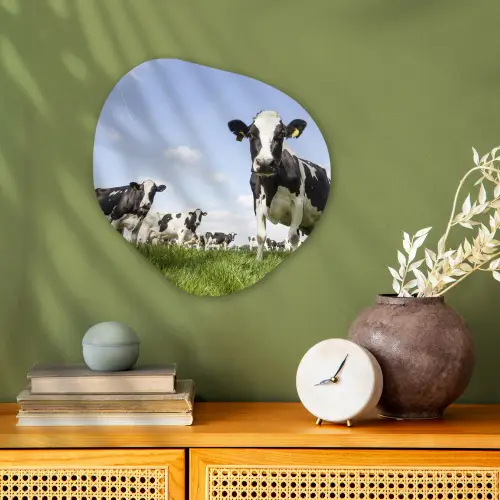 Koeien - Gras - Dieren - Zon - Boerderij Wandcirkel Organisch Forex 3mm klein -sfeer2