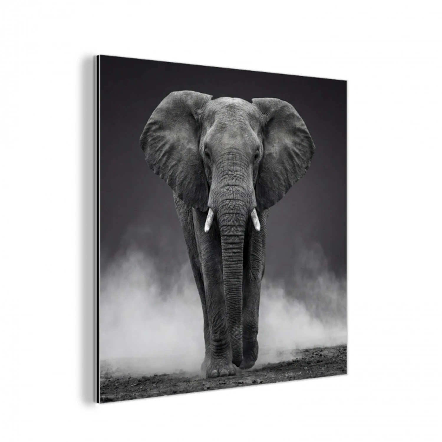 Olifant - Zwart - Wit - Rook aluminium wit klein -3d