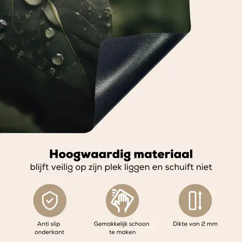 Blad - Groen - Nerven - Regendruppels Inductie beschemer met haakjes middel -ky-onderkant-nl