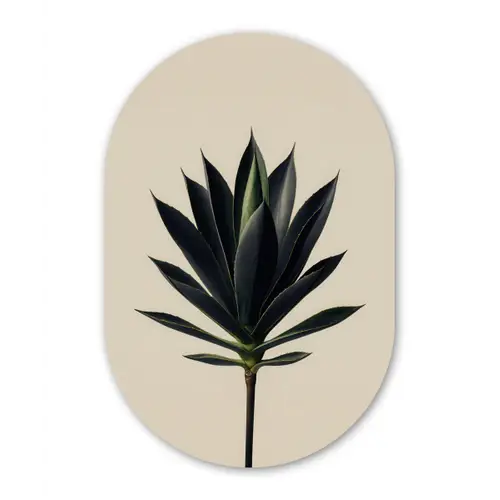 Agaveplant - Symmetrisch - Groen Wandcirkel Ovaal Forex klein -3d