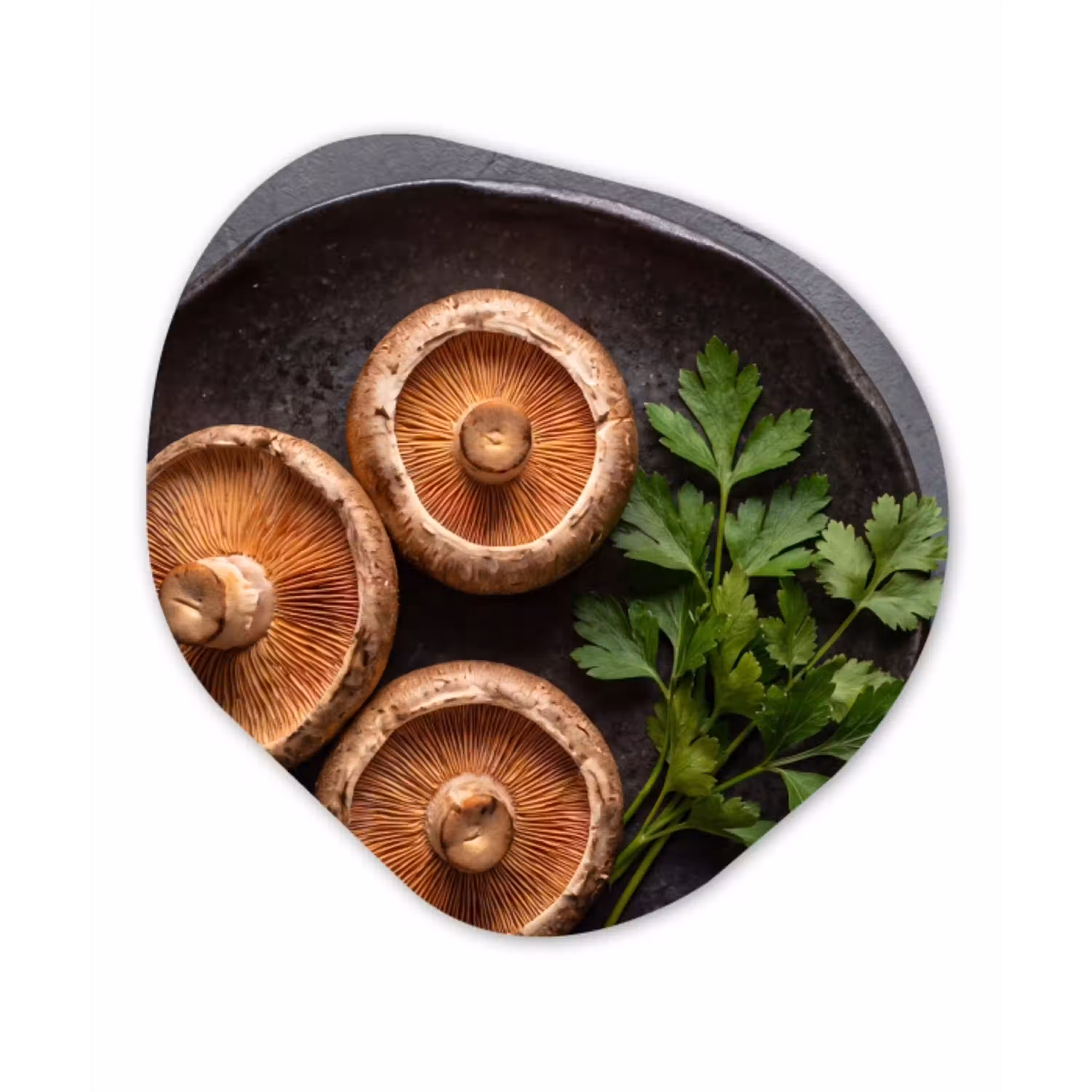 Paddestoelen - Kruiden - Eten Wandcirkel Organisch Aluminium middel -3d