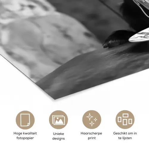 Geit - Bord - Spaghetti - Zwart Wit poster papier klein -closeup_NL