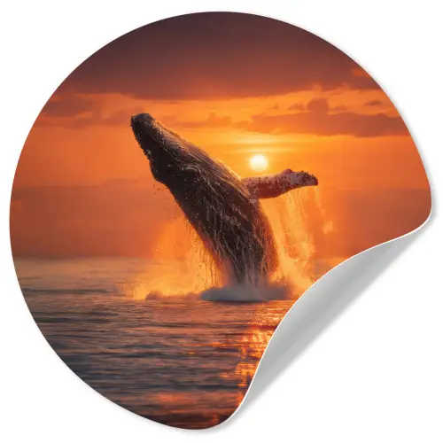 Walvis - Zon - Zee Wandcirkel behangsticker klein -3d