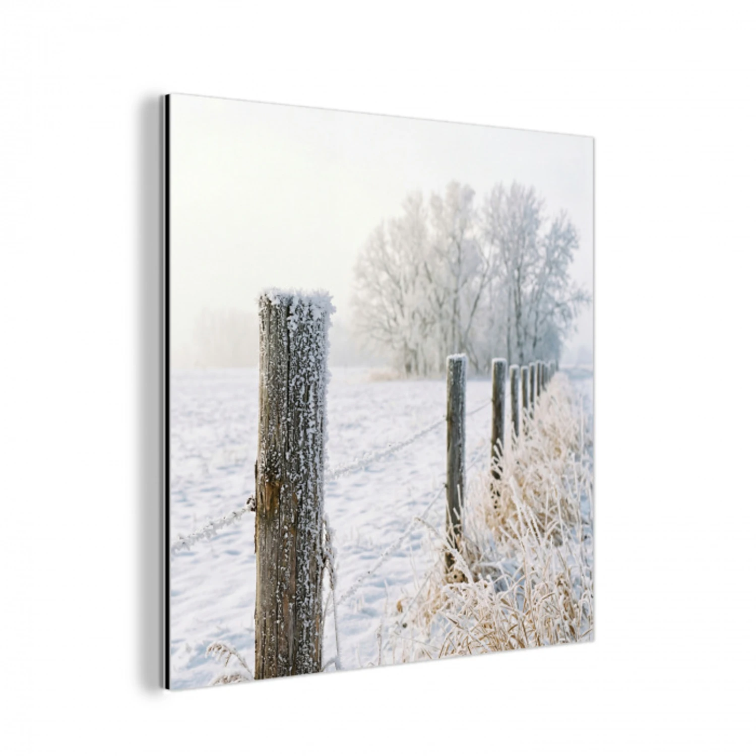 Hek - Sneeuw - Mist - Platteland - Nostalgisch aluminium wit klein -3d
