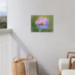 Bloem - Close up - Paars tuinposter los doek klein -sfeer8