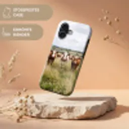 Koeien - Portret - Weide - Boerderij - Nieuwsgierig Toughcase MagSafe Apple iPhone 17 klein -USP_RandenV_DE