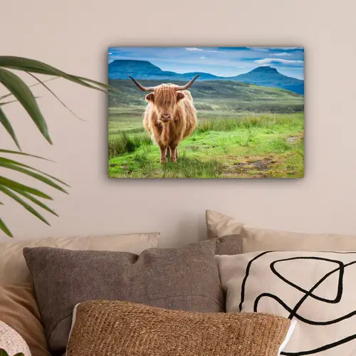 Schotse hooglander - Koe - Natuur - Berg - Gras canvas 2cm klein -sfeer1
