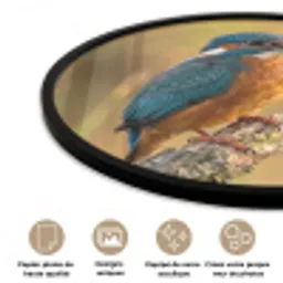 IJsvogel - Tak - Water - Kleurrijk - Levendig Fotolijst rond zonder passe partout klein -closeup_FR