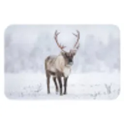 Rendier - Gewei - Toendra - Sneeuw - Wild Badmat klein -3d