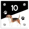 Zwart wit - Huisdier - Beagle Naambord Vierkant klein -3d