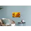 Zonnebloem - Dauwdruppels - Geel - Zonlicht Muursticker klein -plant