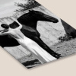 Vrouw - Paard - Artistiek fotolijst zwart zonder passe partout klein -zsfeer6